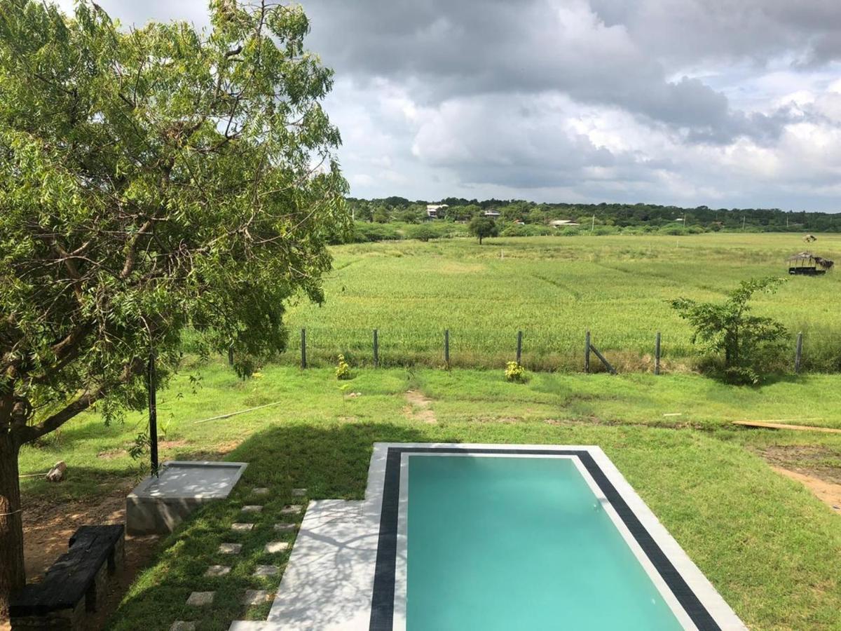 Tree Tops Yala Exterior photo
